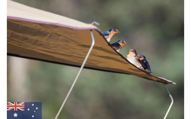 Gordigear Dachzelt Plus Für 4 Personen Mit Staufläche 180 X 320 Cm Grün 4 Gordigear Dachzelt Plus Für 4 Personen Mit Staufläche 180 X 320 Cm Grün – Bild 2