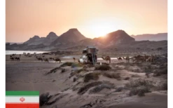 Gordigear Dachzelt Plus Für 3 Personen Mit Staufläche 165 X 320 Cm Grün -Camping Ausrüstung Geschäft 737354 4968536